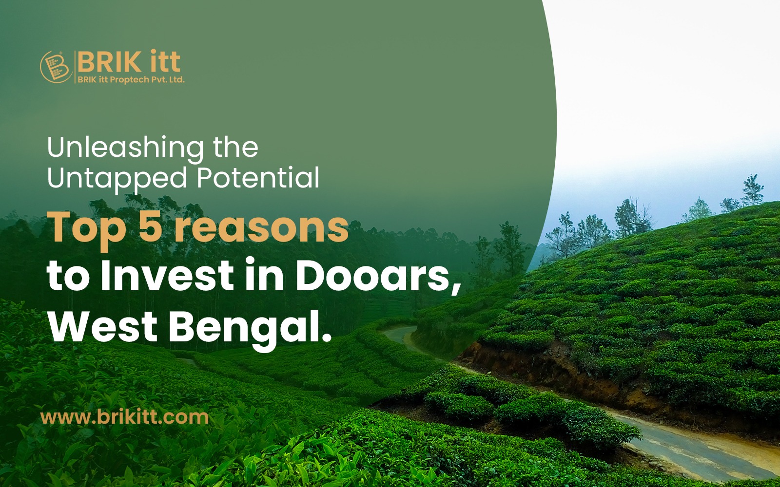 Top 5 Reason to Invest in Dooars West Bengal | BRIK itt